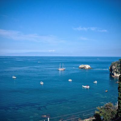 Vista Mare Albero